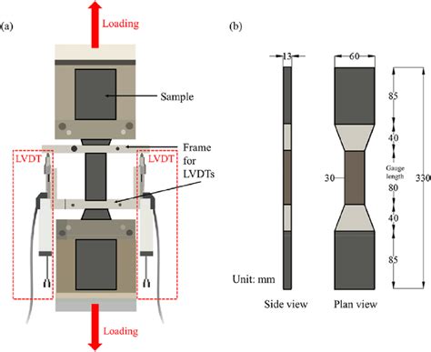 uniaxial compression test lab of bone report|uniaxial tensile testing dogbones.